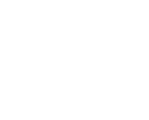 lotus blanc